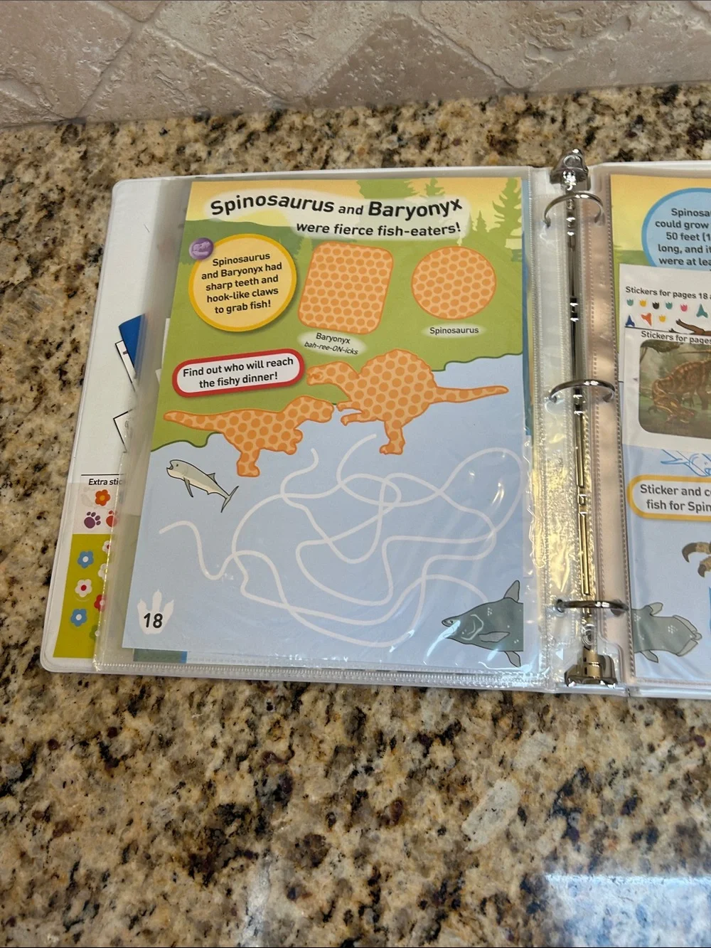 National Geographic Sticker Book